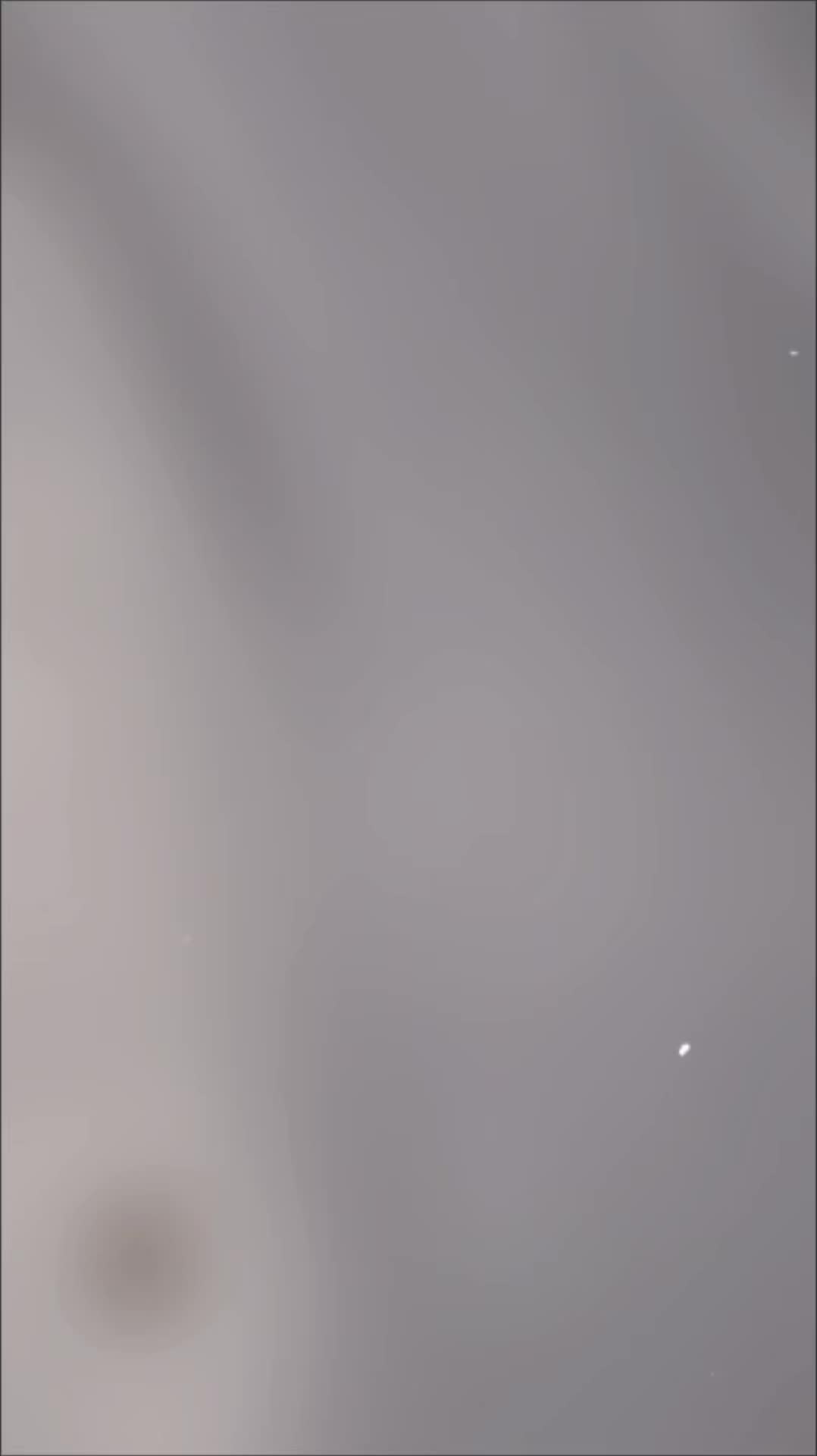 @꧁༺ 𝔸𝕗𝕒𝕢 ℝ𝕒𝕤𝕙𝕚𝕕 ༻꧂