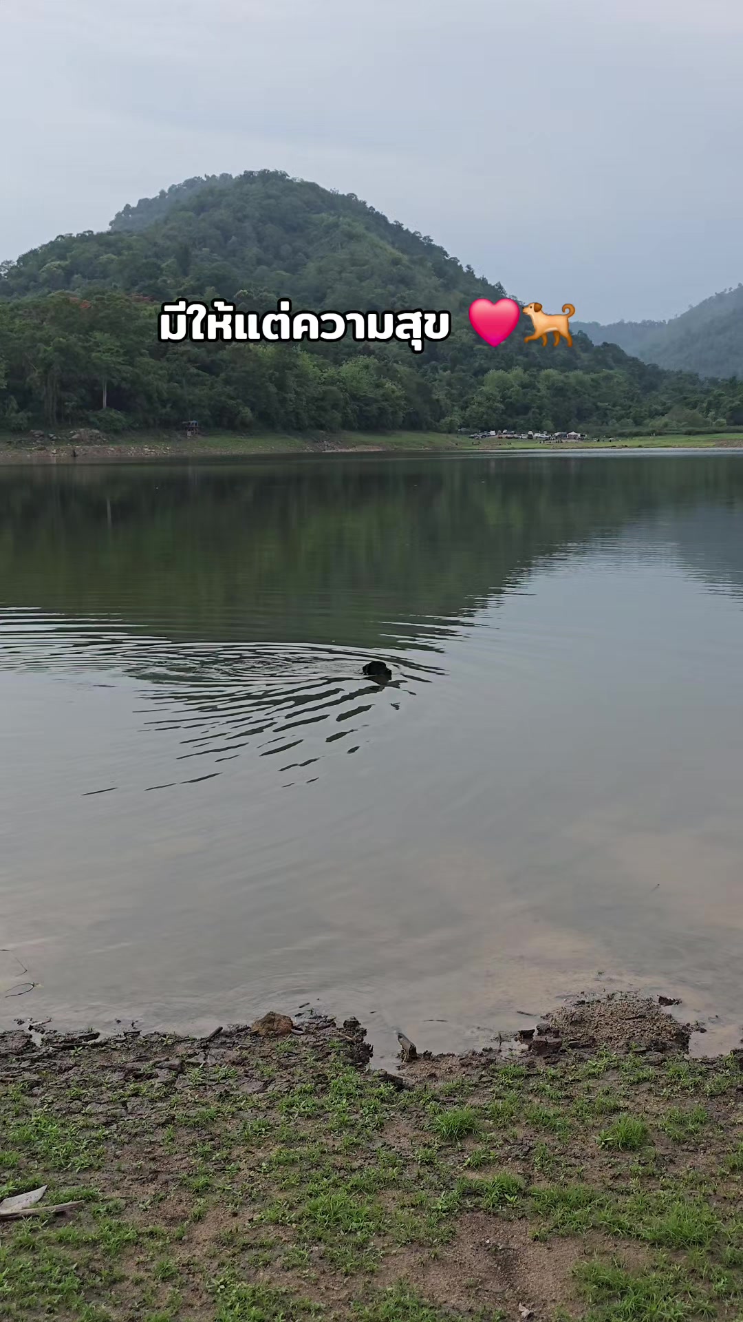 @อาร์ม วุฒิกร