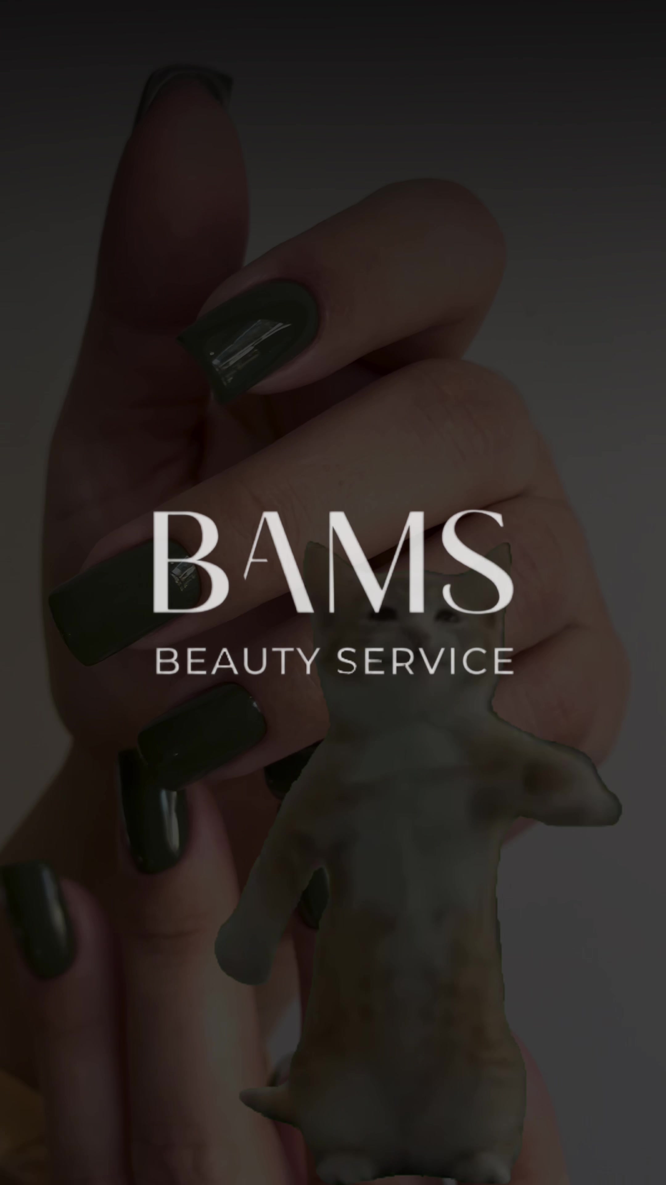 @bams.beauty