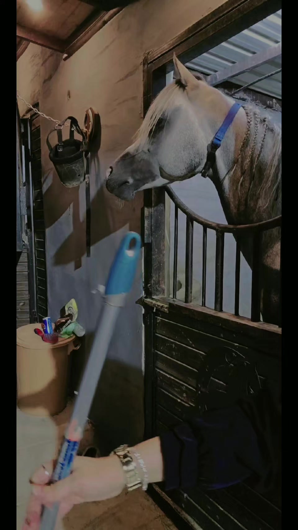 @الفارسة الملثمة 🐎🥷