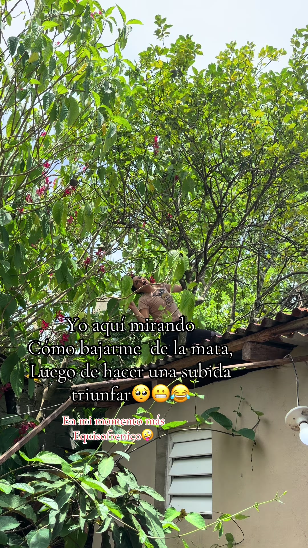 @Emely Diaz Acevedo