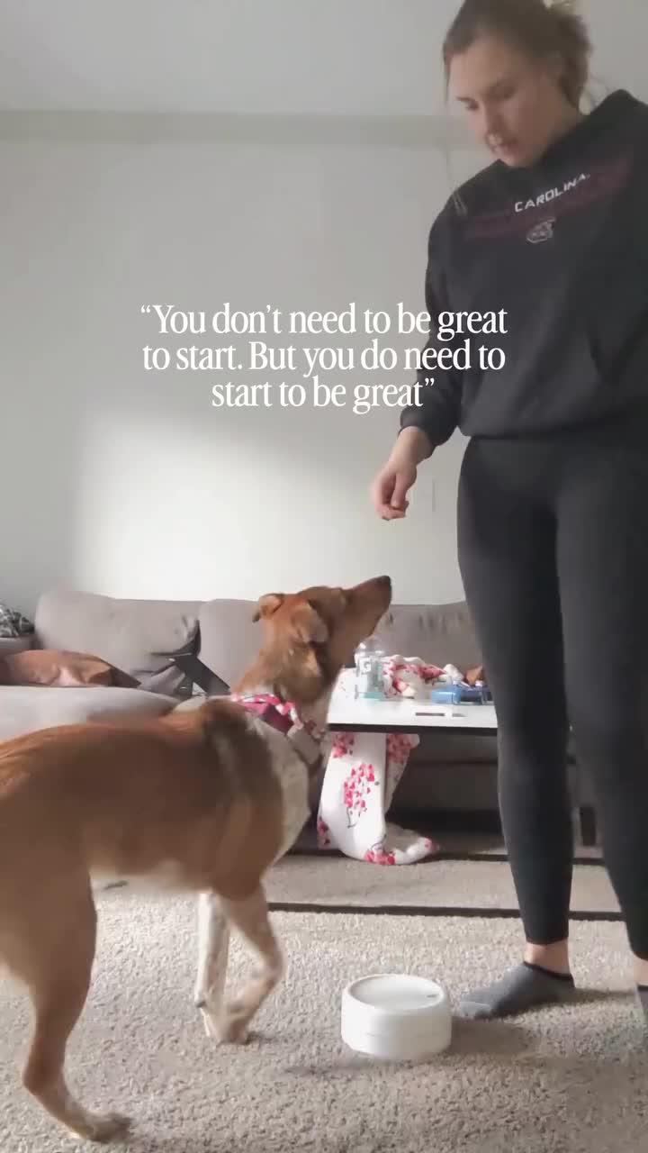 @Marissa | Kota & Aspen