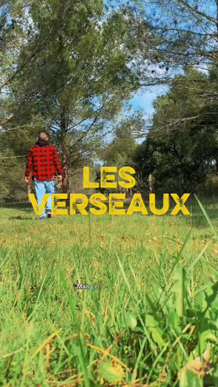 @leguerriereveille