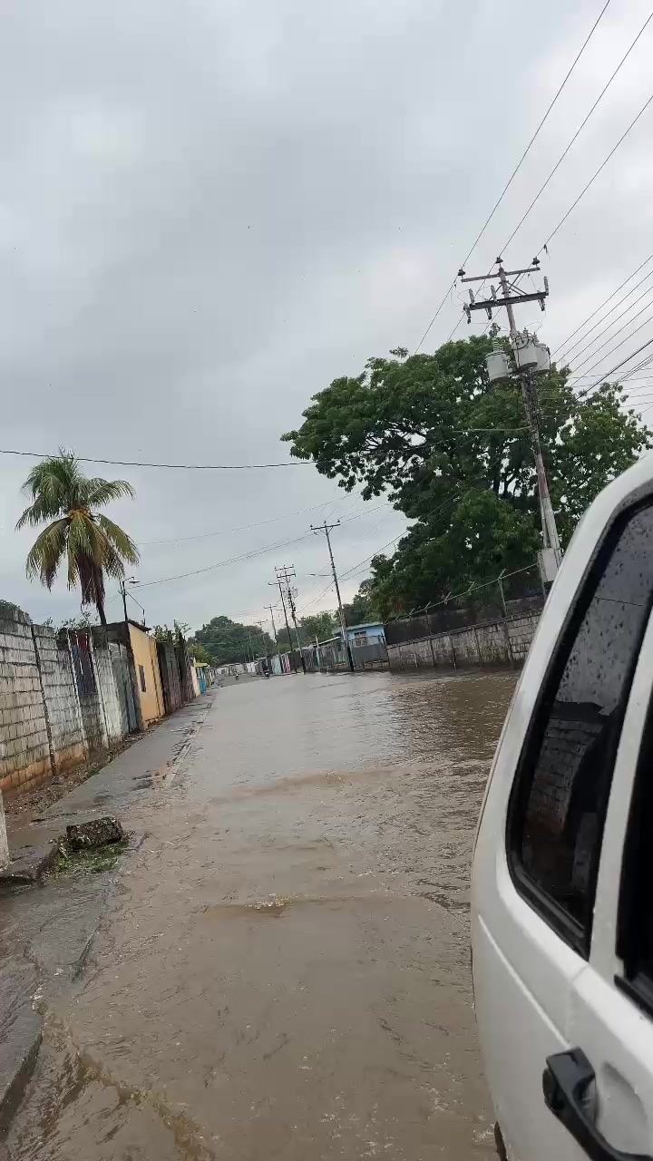 @Vamos Acarigua
