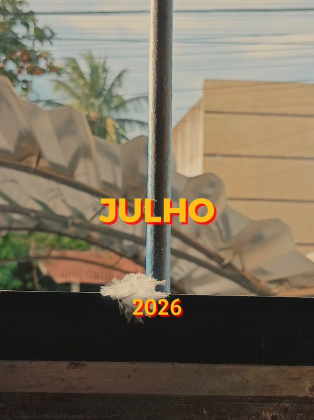 @Ana Araújo