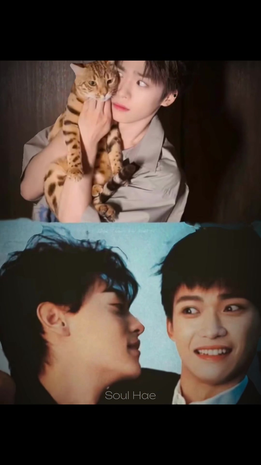 @♌️ 𝚂𝚘𝚞𝚕 𝙷𝚊𝚎 ☪️