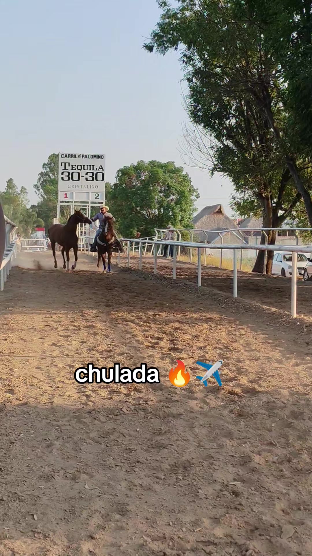 @carriles altos de jalisco🐎