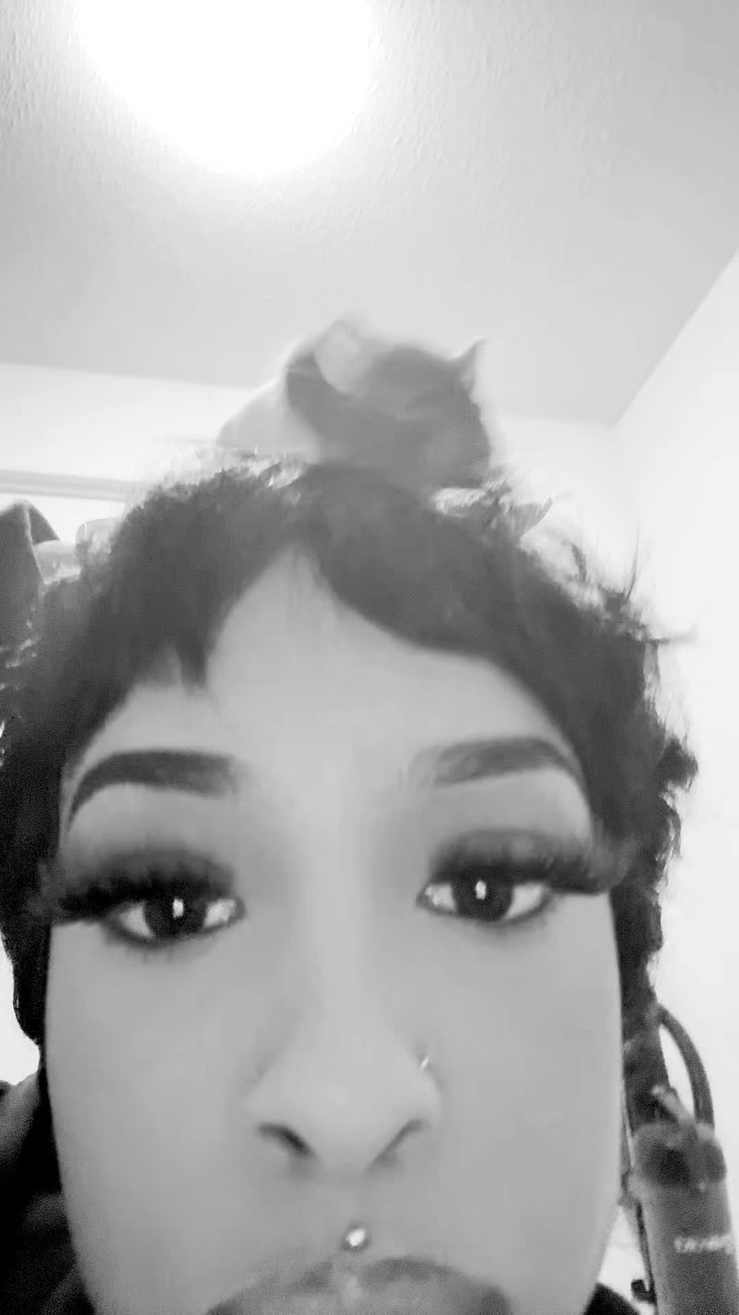@DOLLYBINLADIN🃏💥