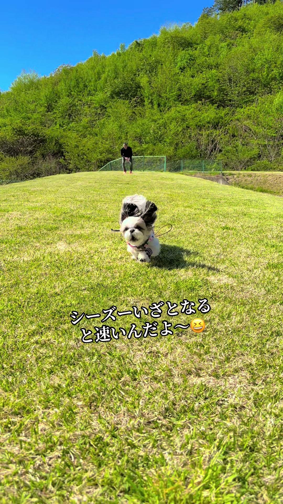 @かおりん