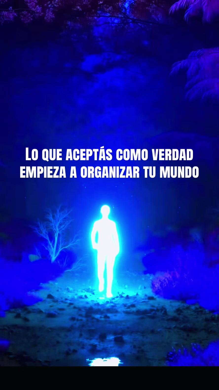 @YoSoy_Tani
