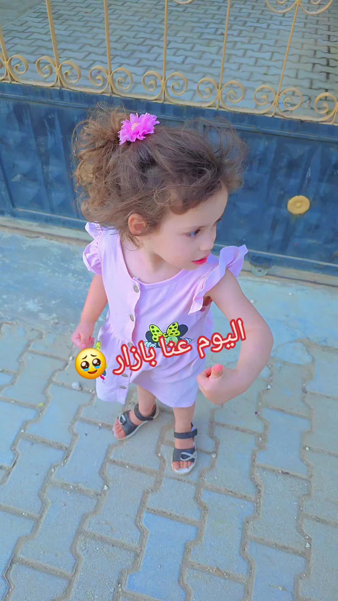 @🌸🌱عائلة لموشي lmosh🌱🌸