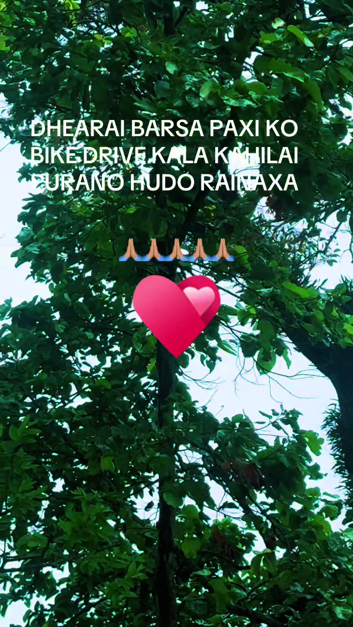 @gopalkhadka262