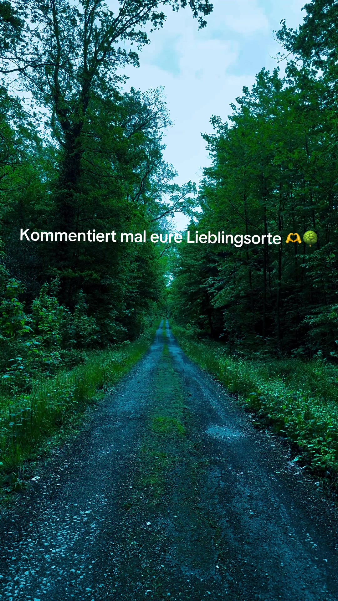 @Dennis Hubert