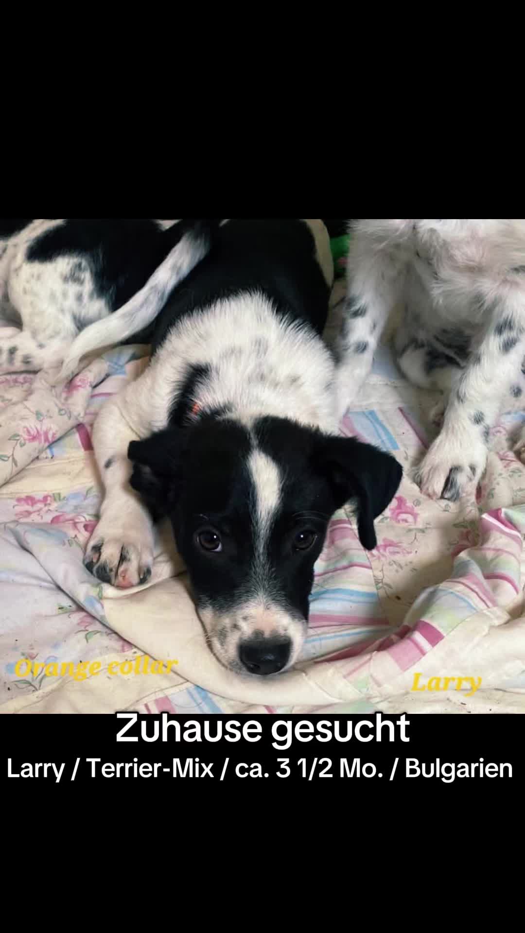 @Debora