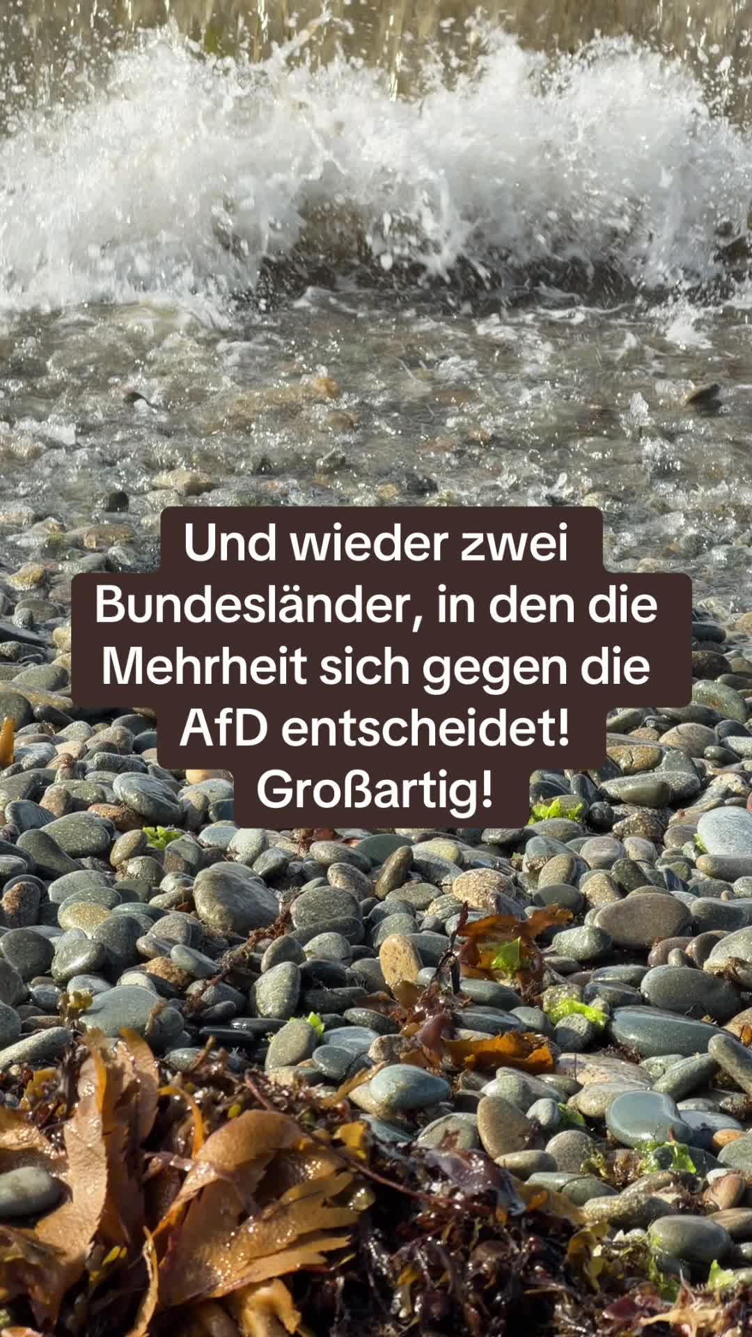 @Contra.AfD