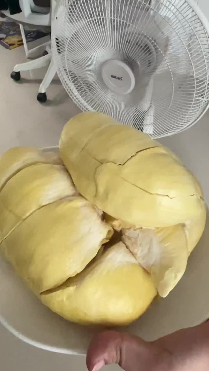@Bumbim