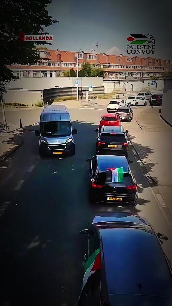 @Gaza🇵🇸❤️