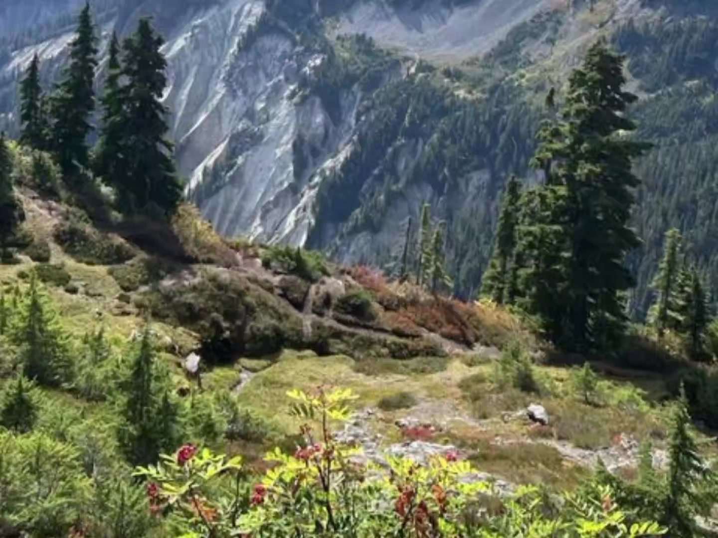 @𝓔𝓵𝓬𝓪𝓷🍃