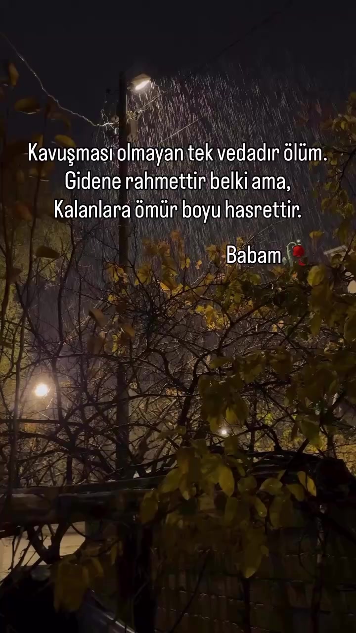 @Murat Bilgin