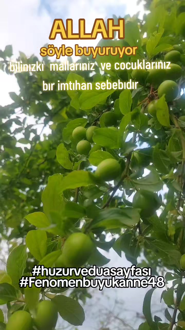 @Fenomenbuyukanne48