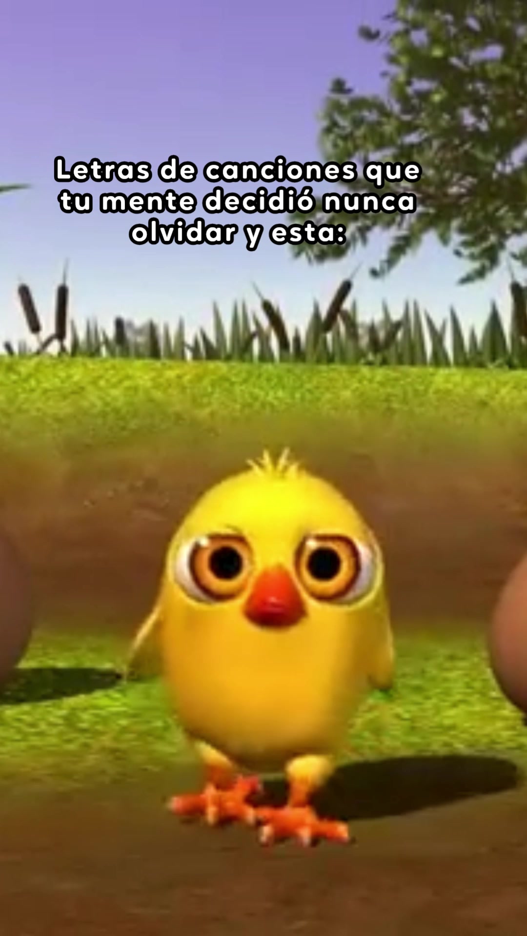 @El Reino Infantil