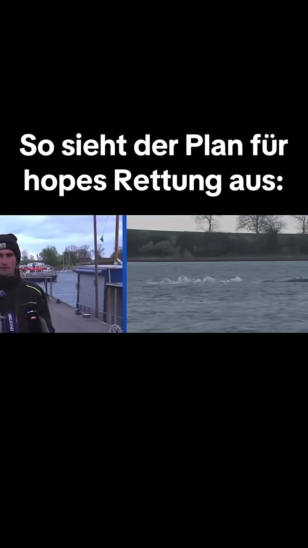 @Rettet Hope 🐋
