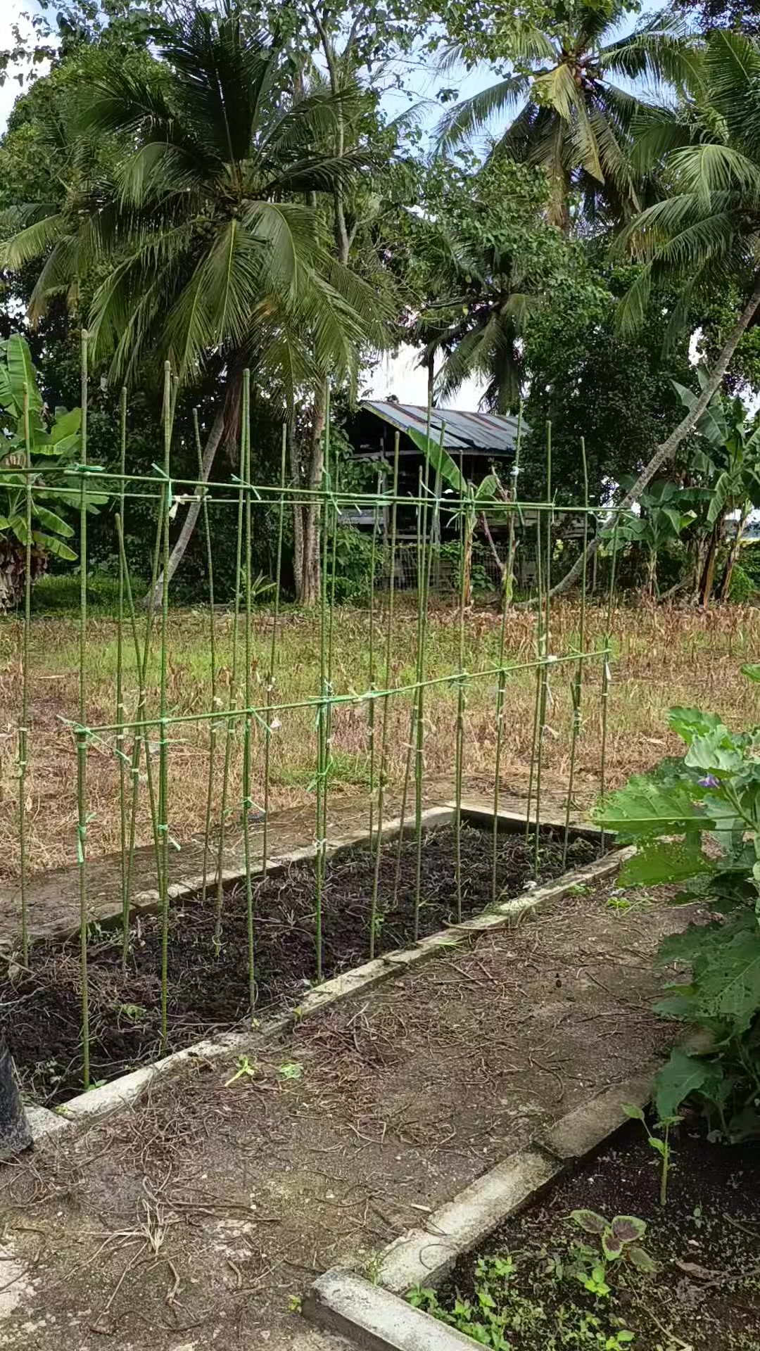 @𝗬𝘂𝘀𝘂𝗳 𝗟𝗮𝘁𝗶𝗲𝗳