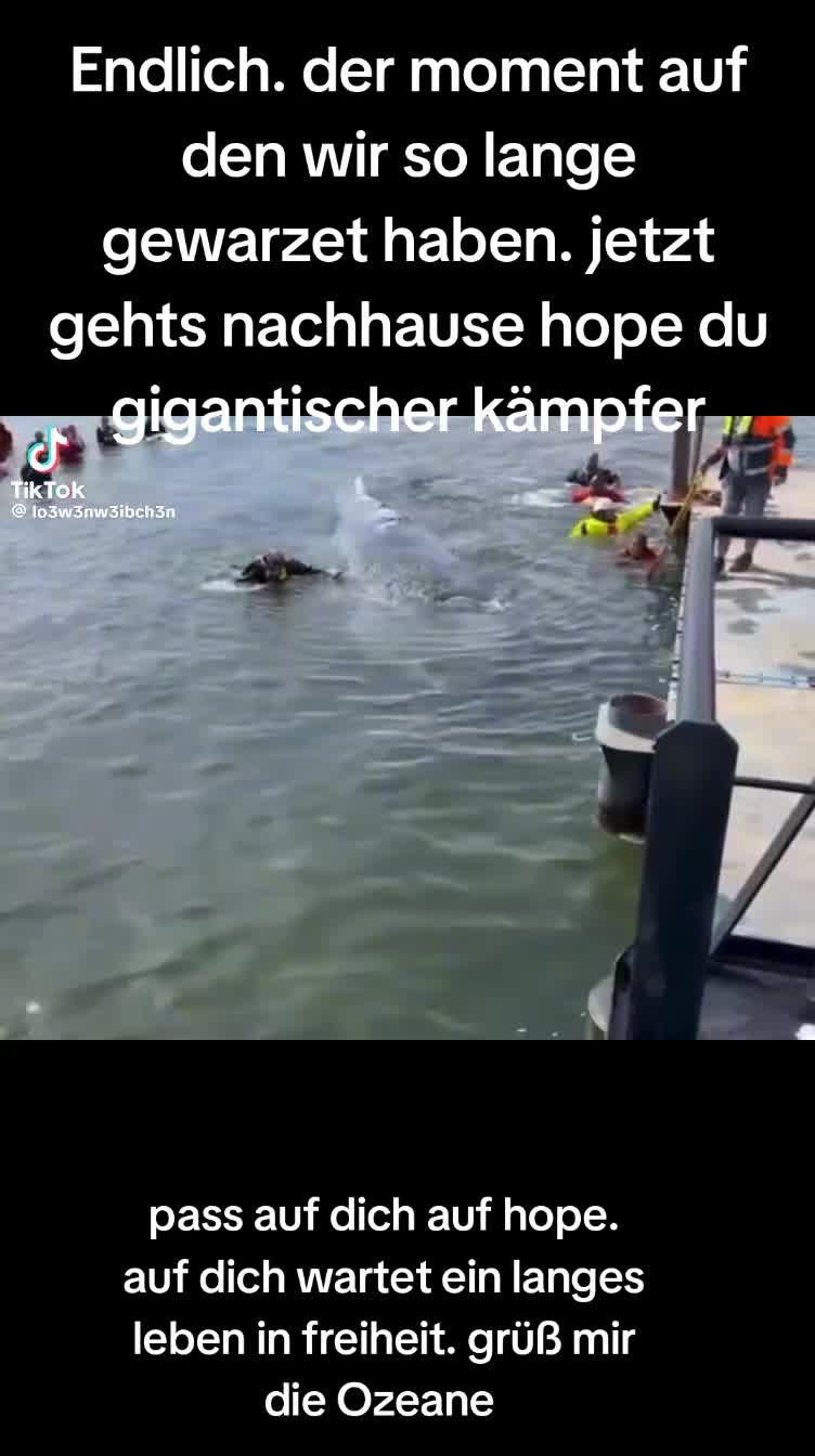 @โö๐โฏ๐๐๐ถ๐๐ถ ๐