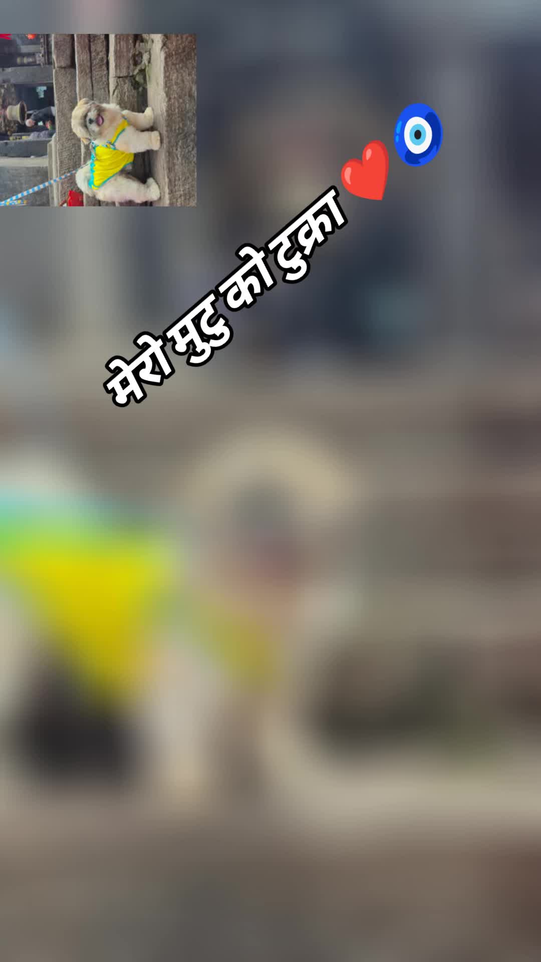 @sweetnancylama143