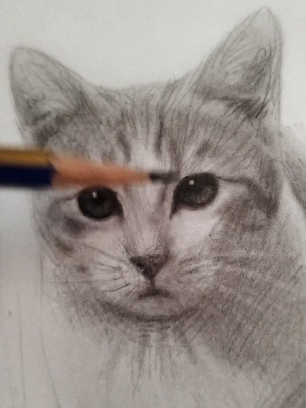 @ArtDSNG