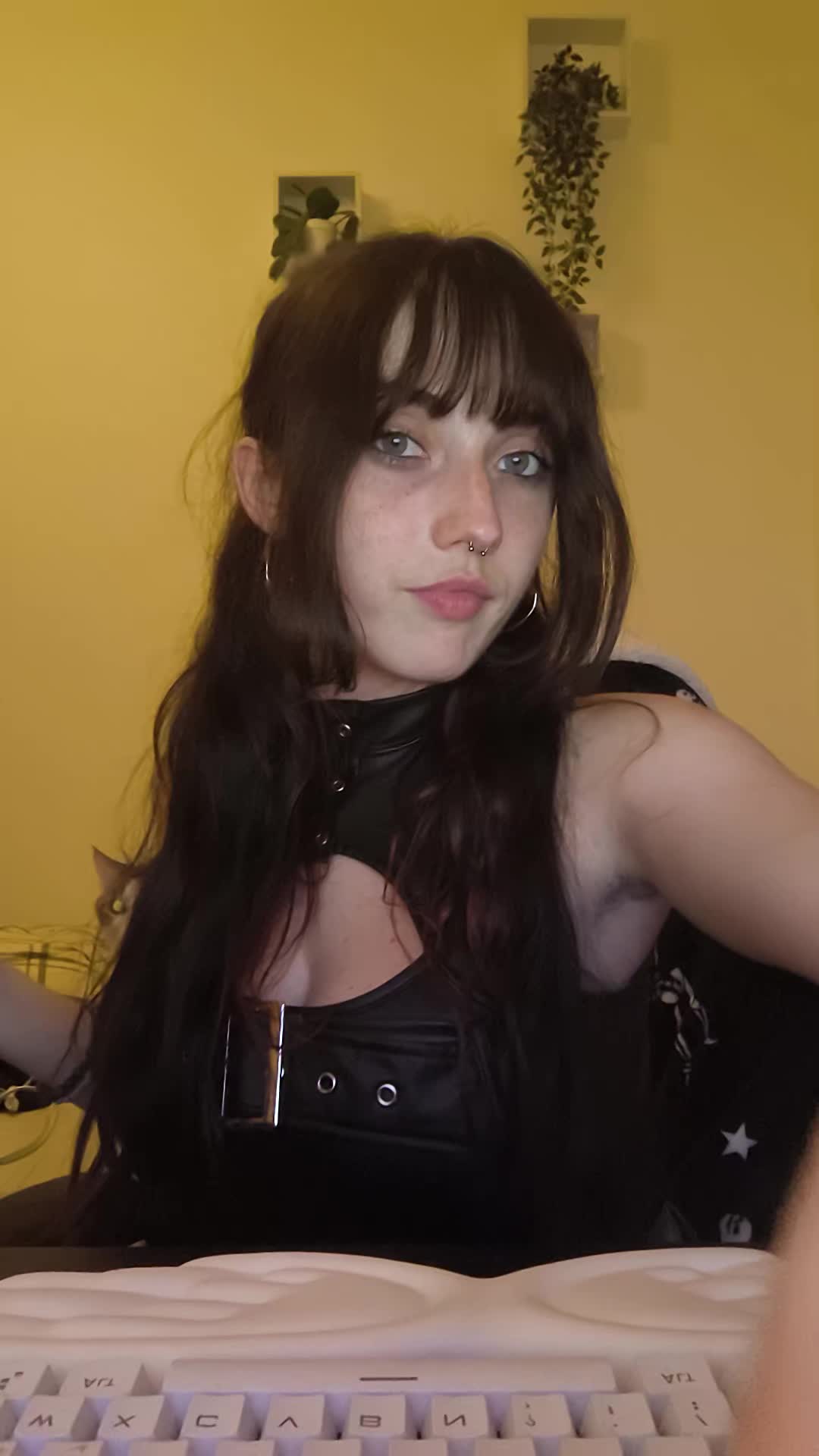 @anissette