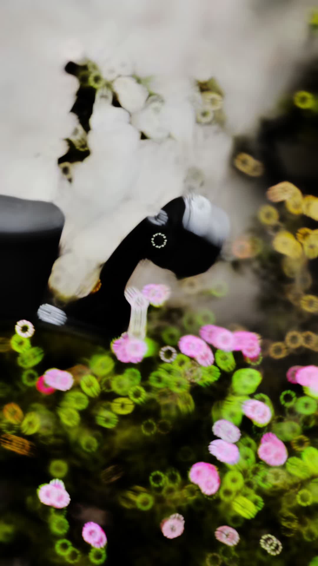 @ŴÄҨÄŚ.___.