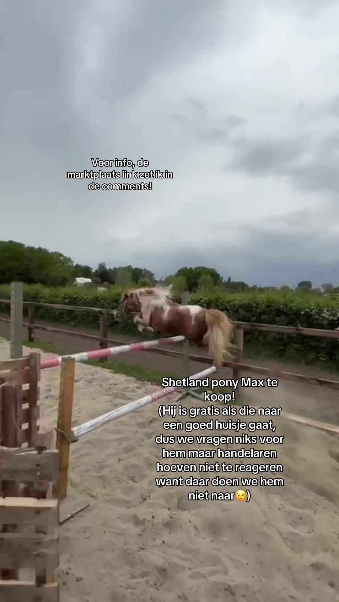 @Equi Roosje🇳🇱