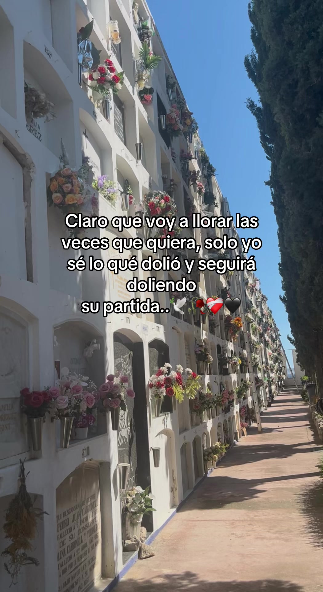 @La_solitaria🥀💔