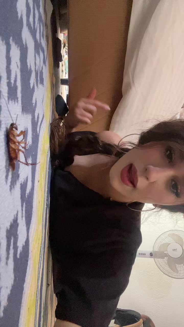 @handanbzby