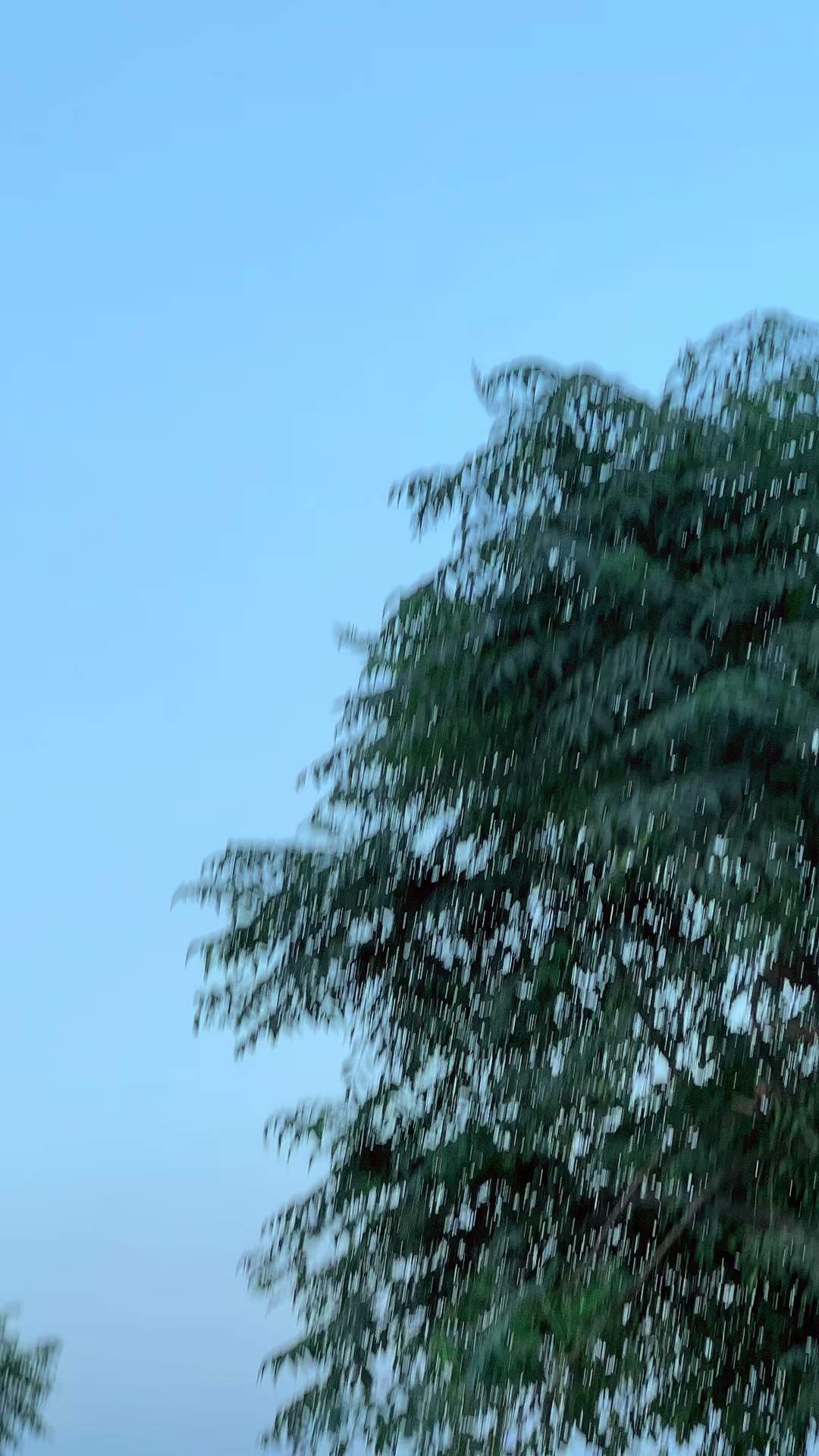 @𓄂ناصر کہتے ہیں𓃬