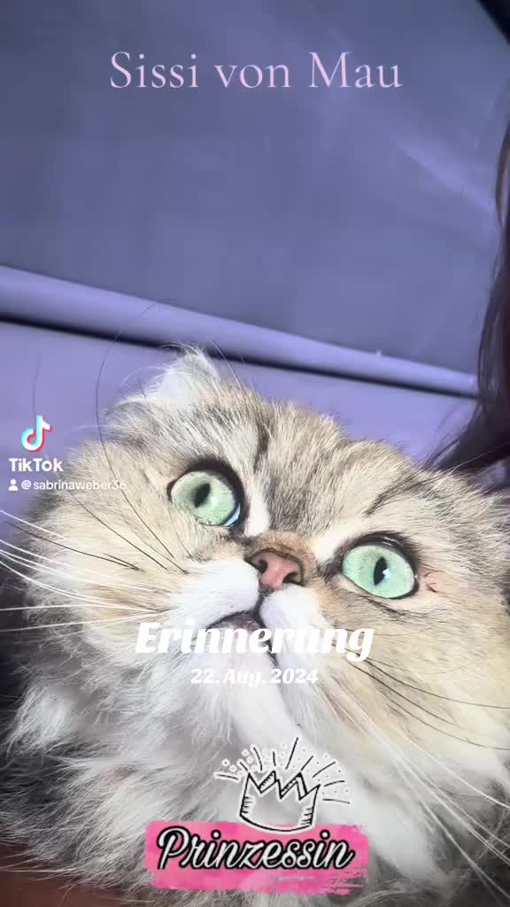 @kitty_von_mau
