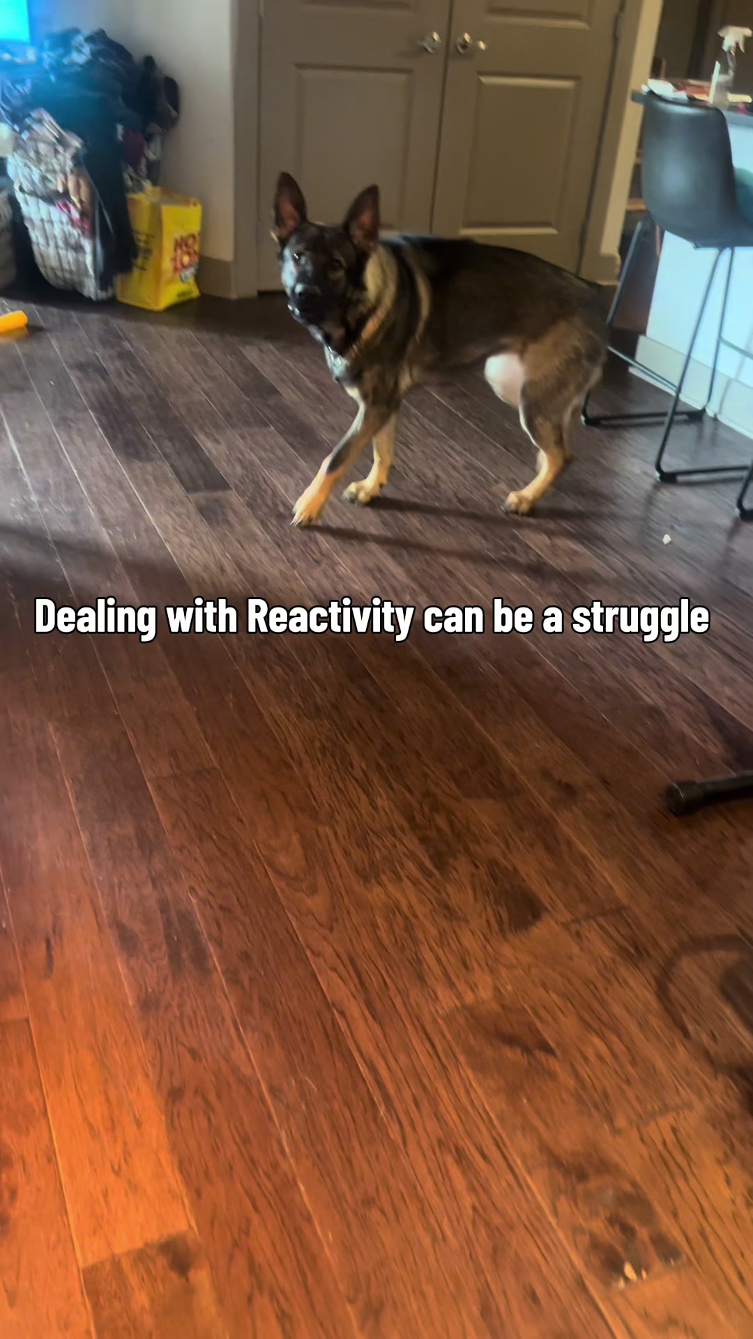 @daeleww