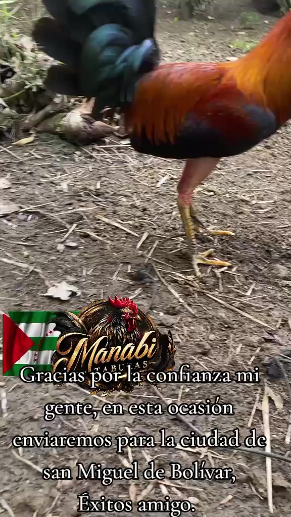 @MANABI TABURAS