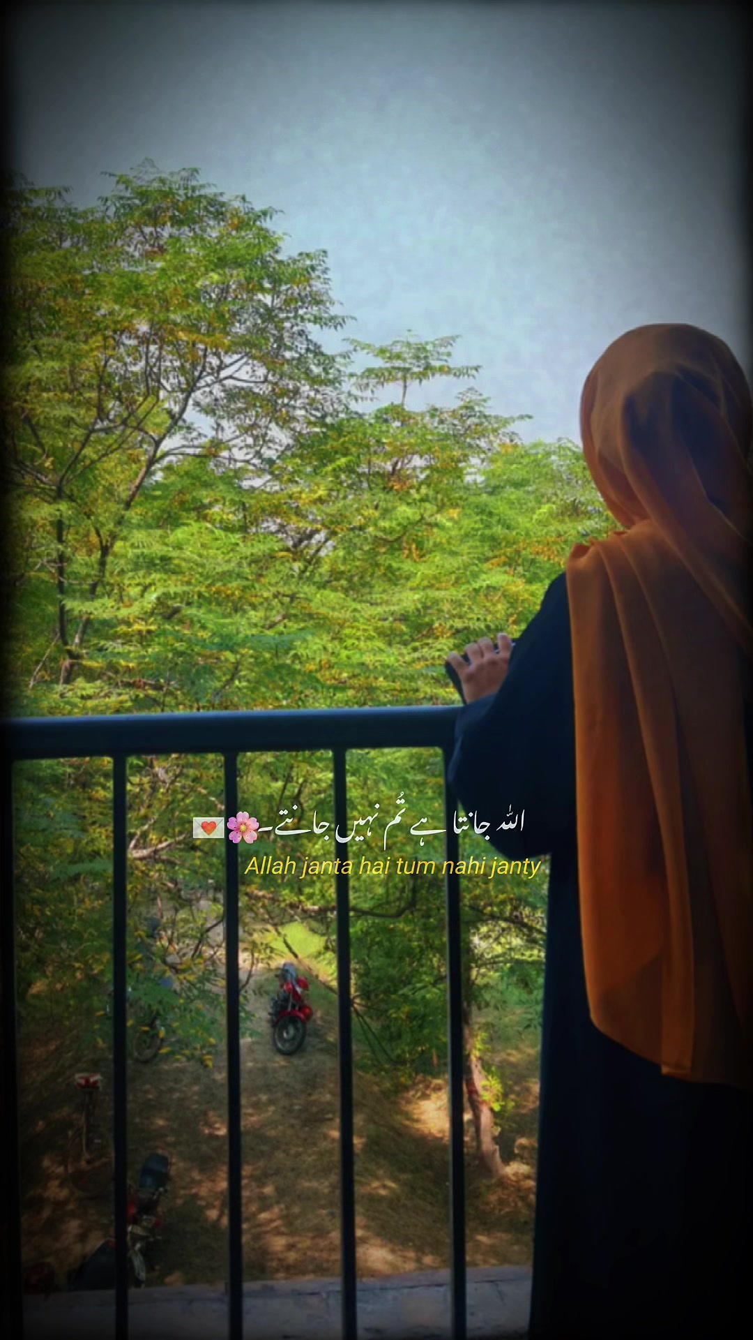 @م ارائیں🔥