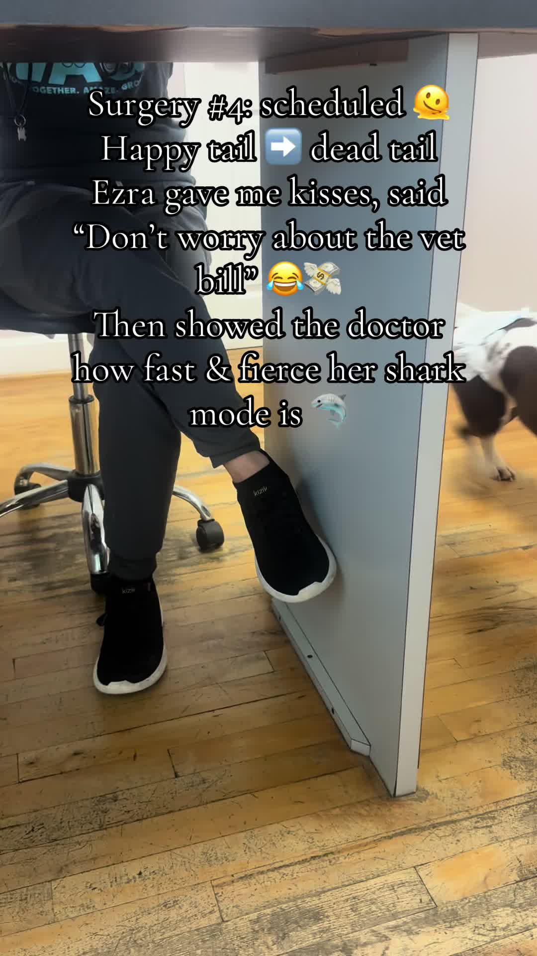 @EzraSharksIslandOfMisfitz