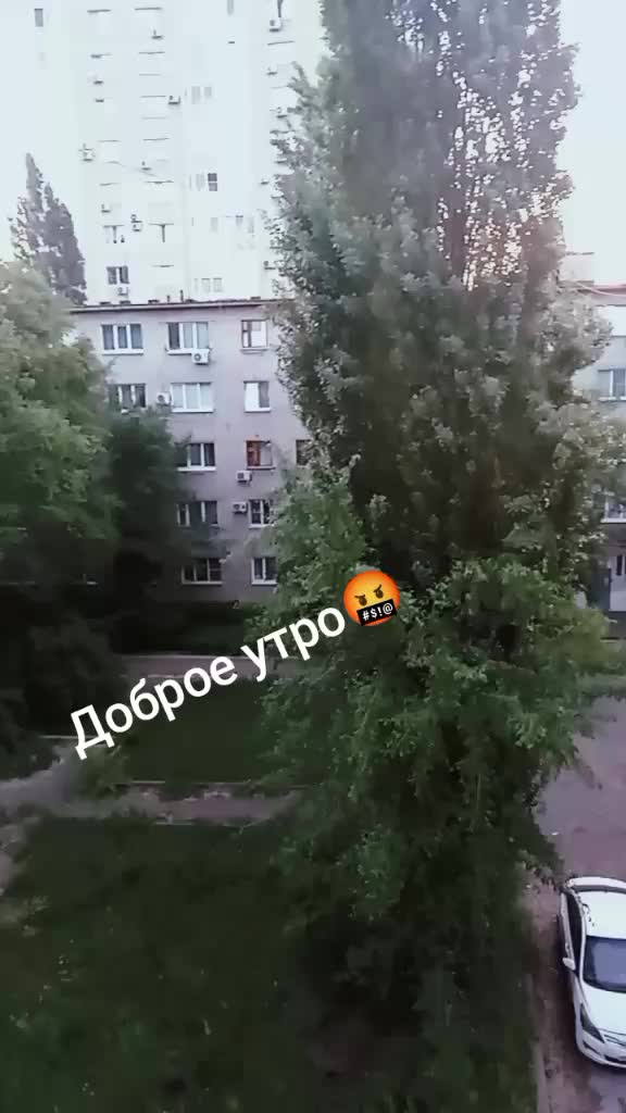 @Мариша Алиева