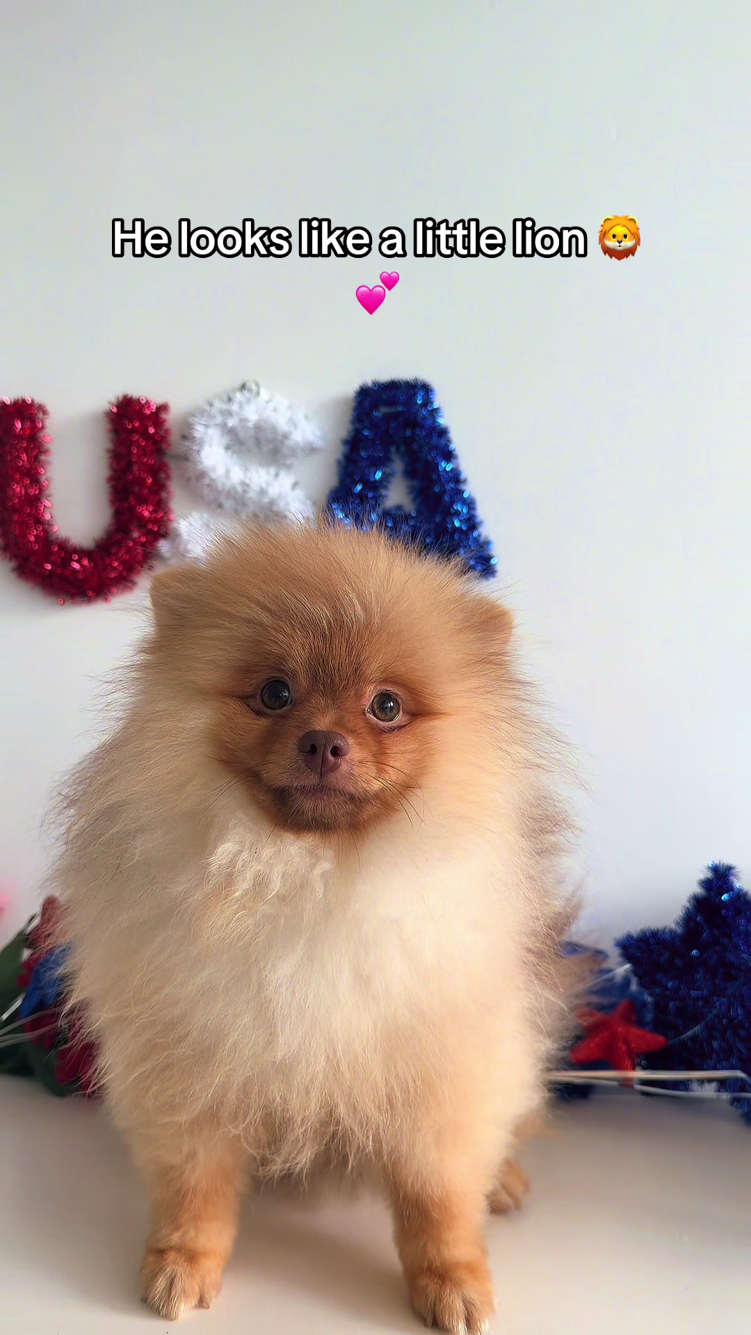 @TeaCups, Puppies & Boutique &reg;️