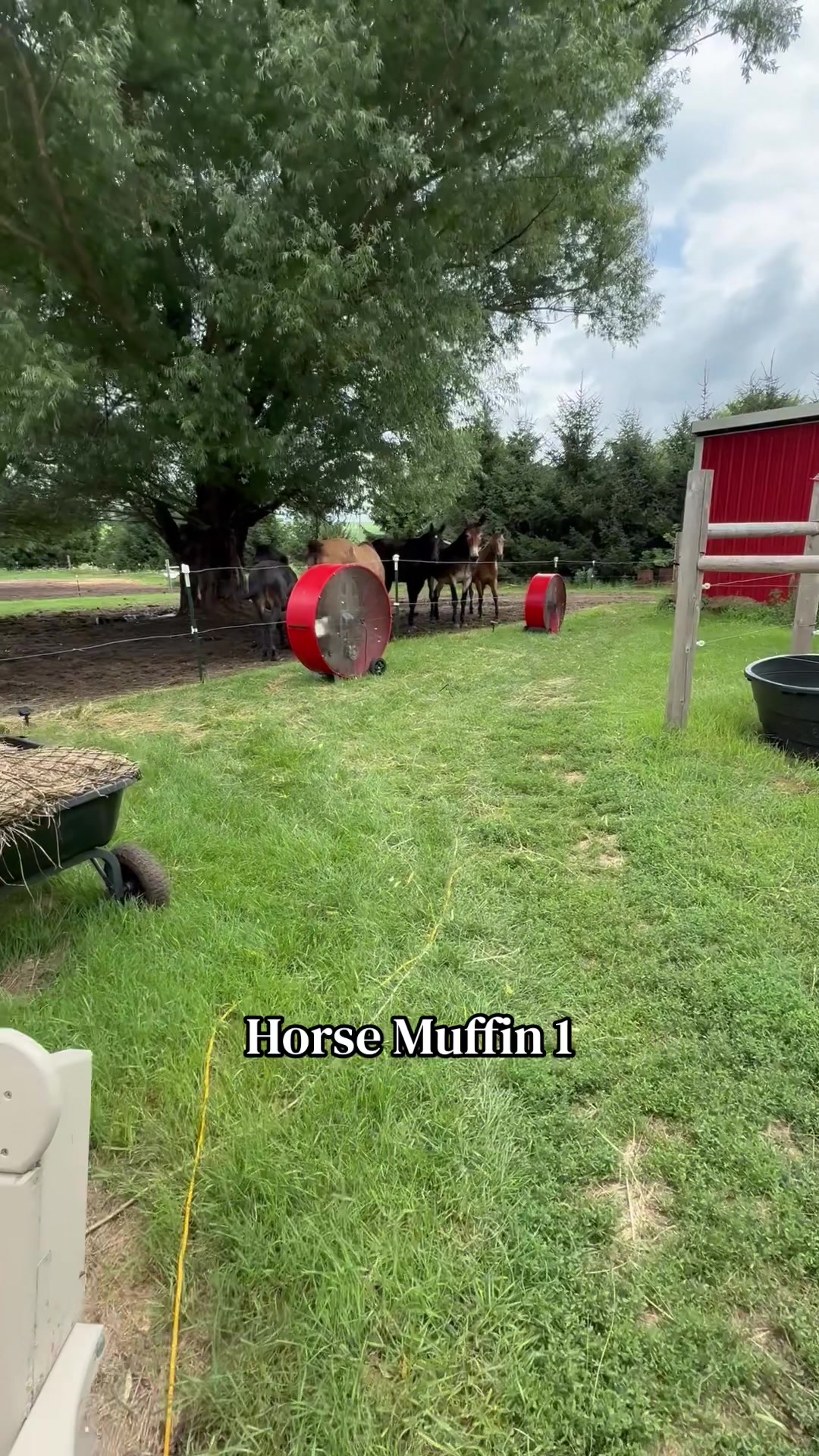 @Safe Place Pastures, Inc.