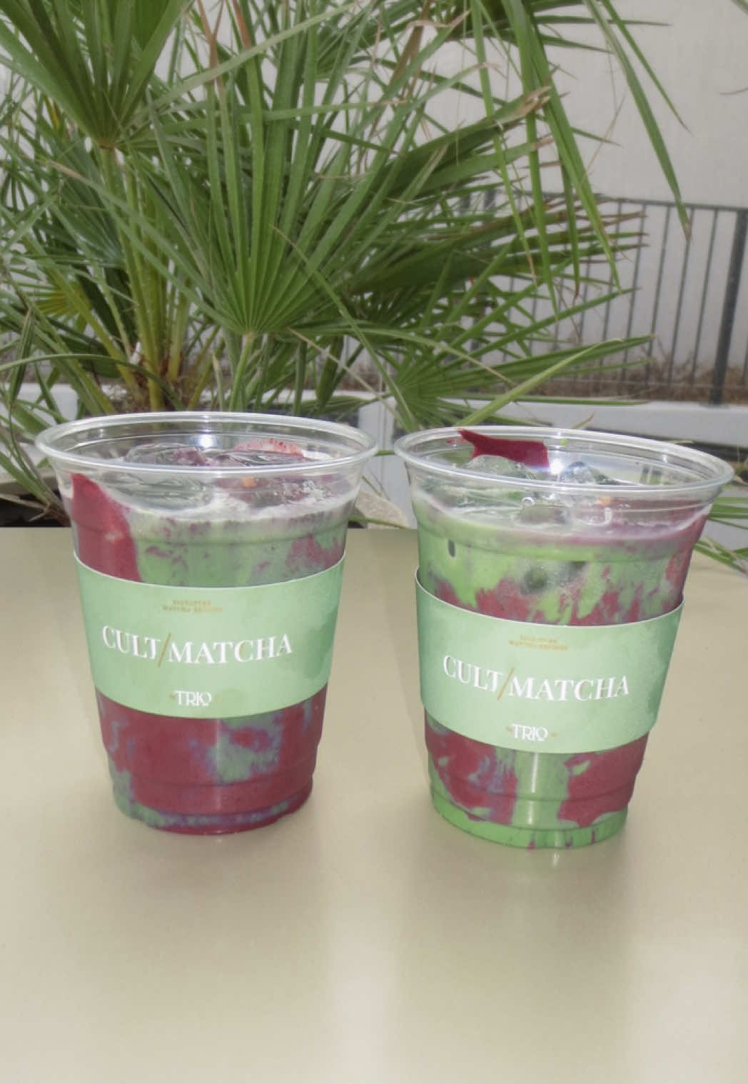 @Cult Matcha
