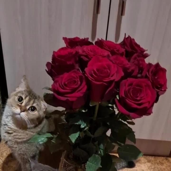 @Жанночка