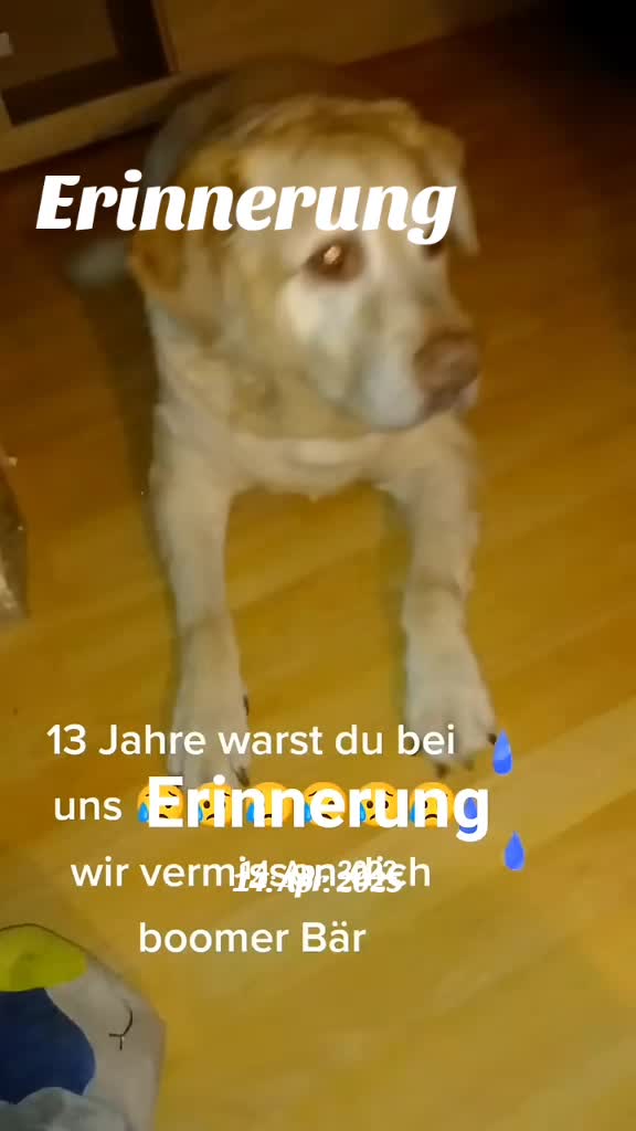 @💀💀DasBöse💀💀