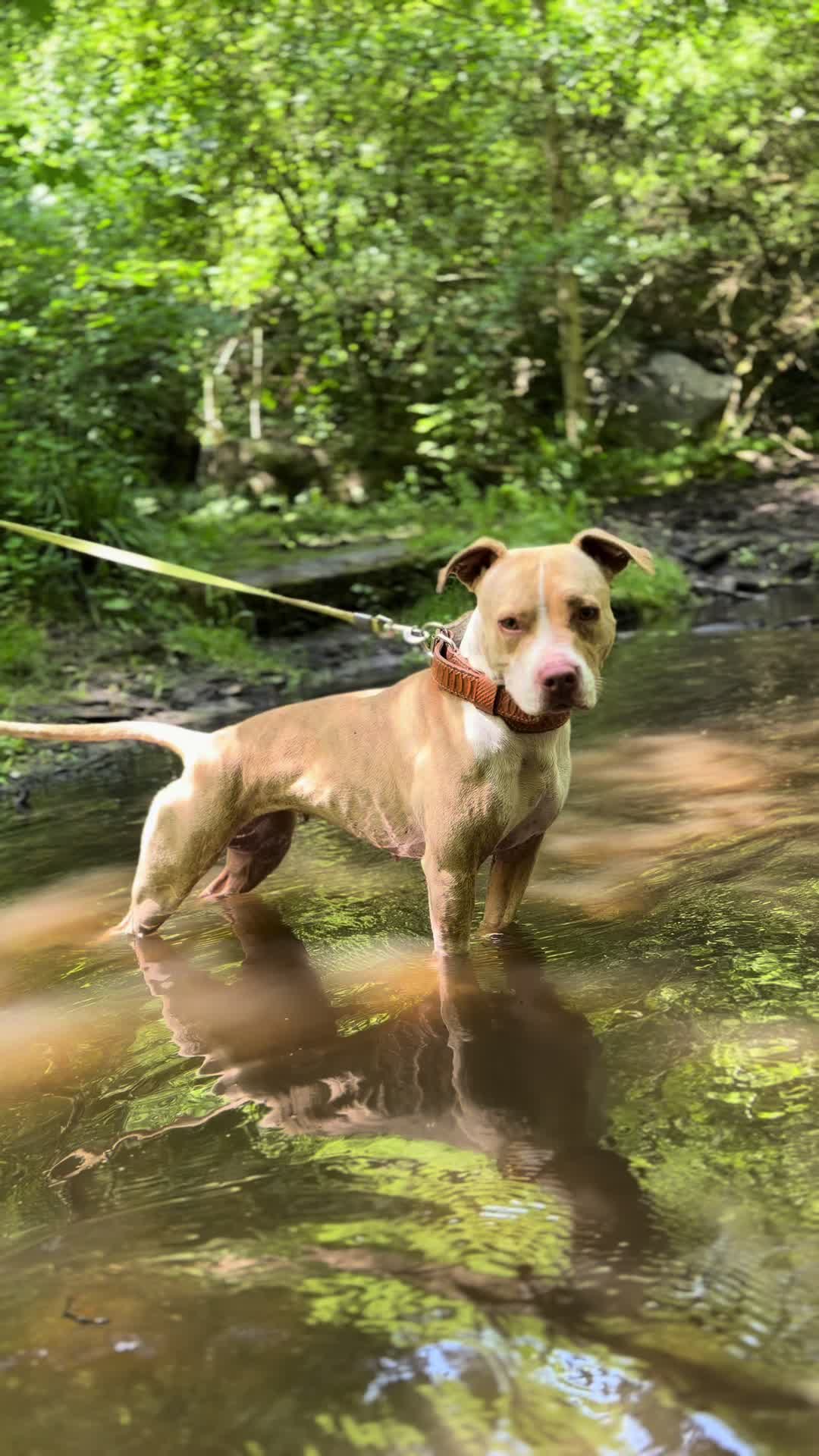 @kiara_isis_apbt