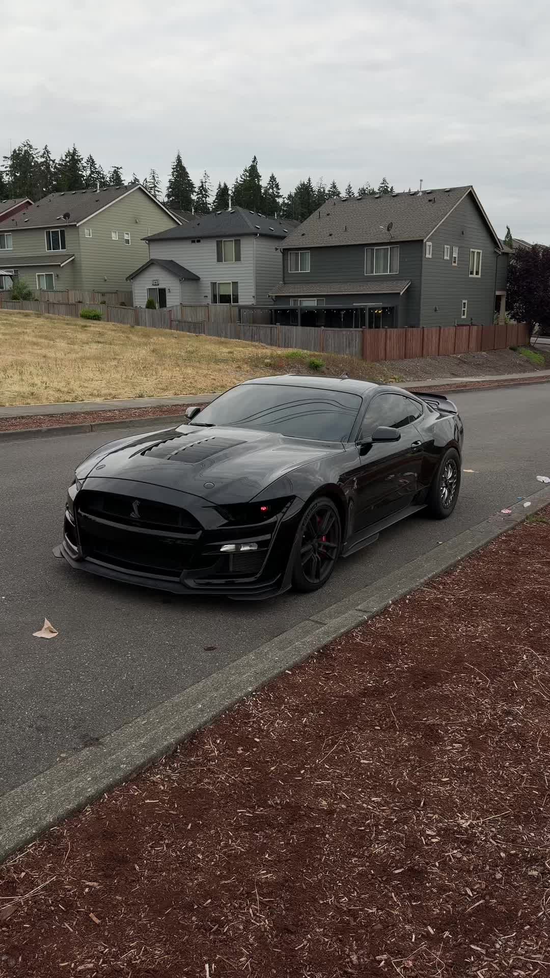 @5.2murder