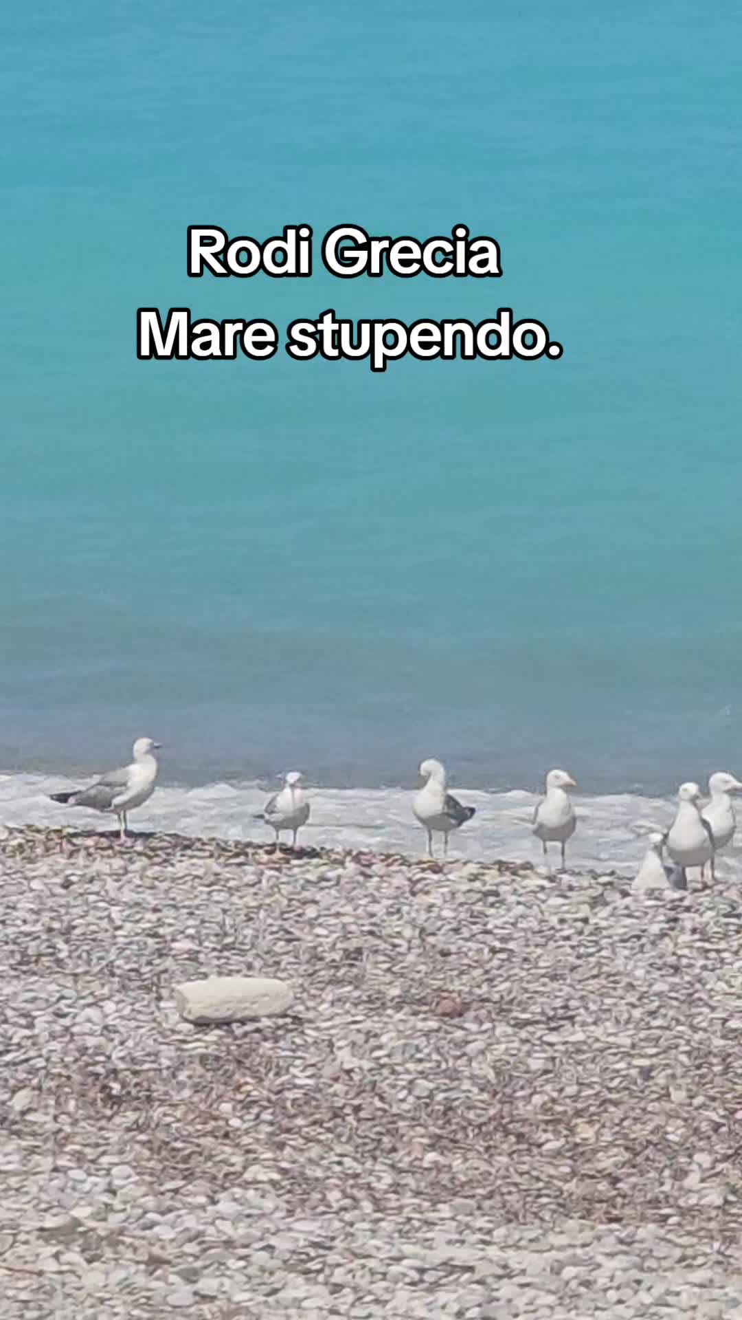 @ToninoDiscovolante